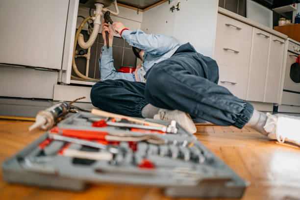 Best Septic Systems  in Darien, IL